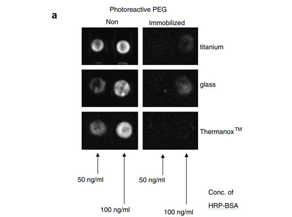 Chemiluminescence using Bovine Albumin Peroxidase