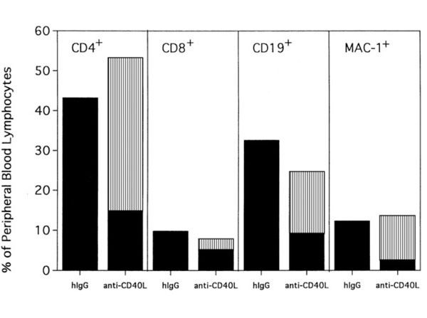 Using Hamster IgG control