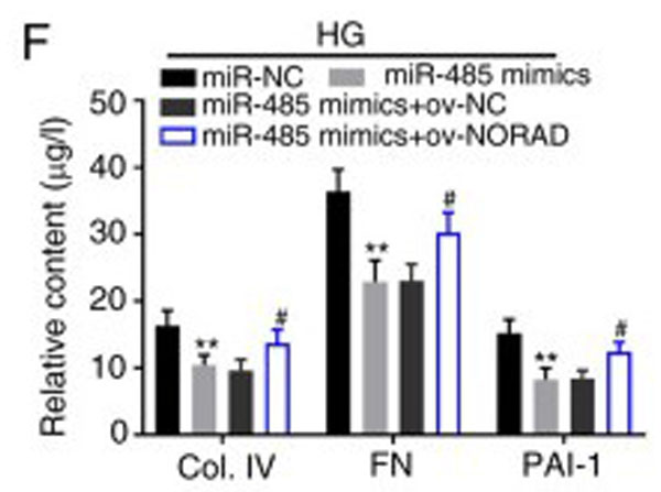 ELISA results using Human Collagen Type IV
