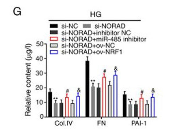ELISA results using Human Collagen Type IV