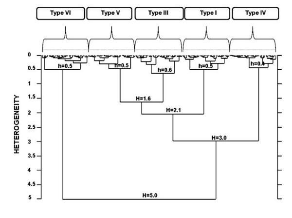 Fourier-transform infrared (FTIR) spectroscopy using Human Collagen Type VI