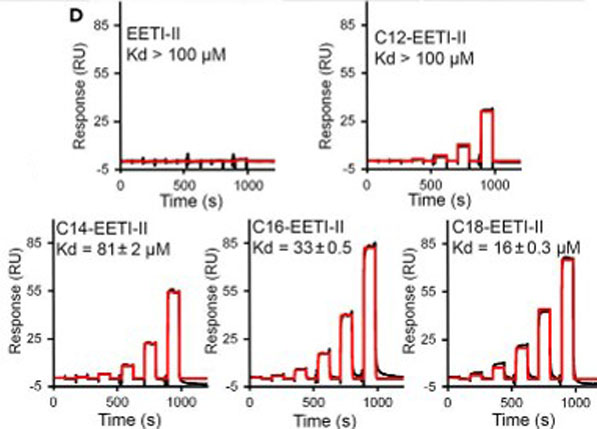SPR using Human IgA biotin
