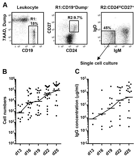 Flow cytometry using mouse IgG1 kappa