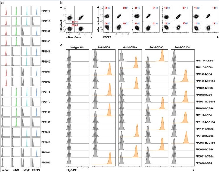 Flow cytometry using mouse IgG1 kappa