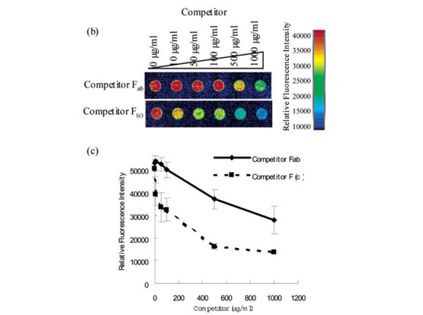 Microarray using Mouse IgG Fab