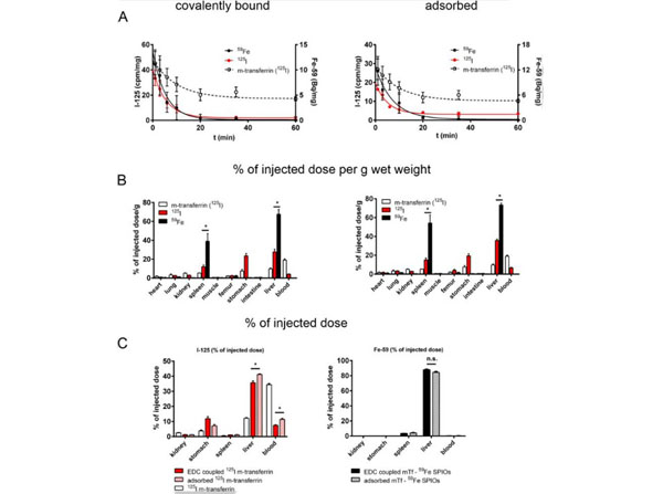 Assay using Mouse Transferrin
