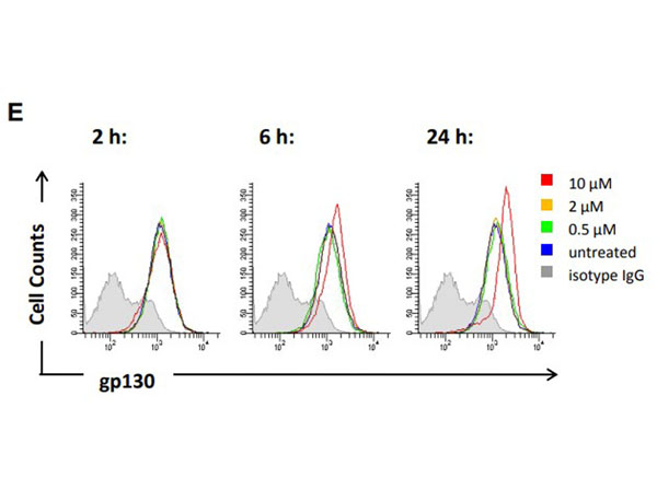Flow Cytometry using Mouse IgG2a
