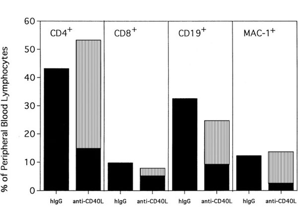 Assay using Armenian Hamster IgG