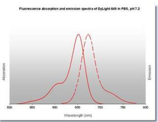 Properties of DyLight™ Fluorescent Dyes.