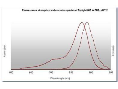 DyLight™ 800 Fluorescence Spectra.