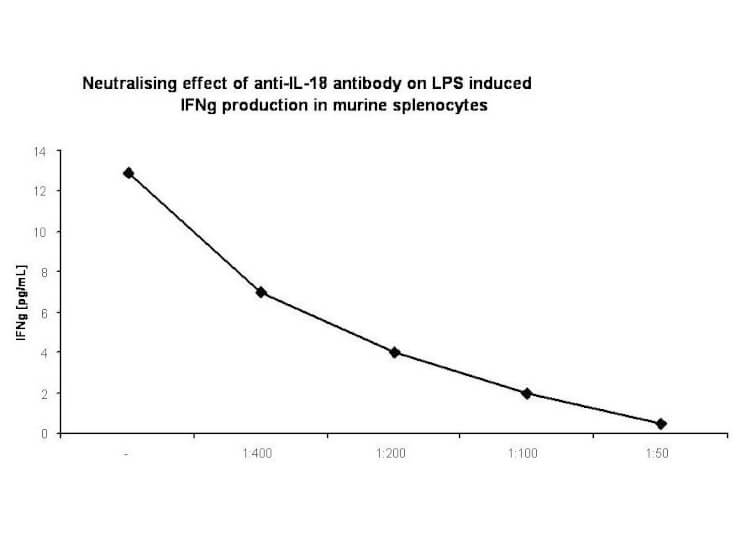 Anti-Mouse IL-18 Antibody - In Vitro Neutralization