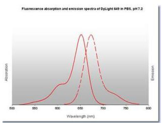 Properties of DyLight™ Fluorescent Dyes.