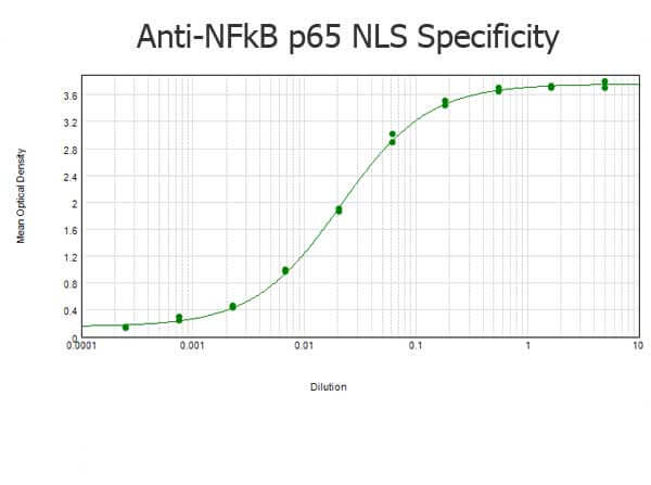 Rabbit anti-NFkB p65 NLS Specific ELISA