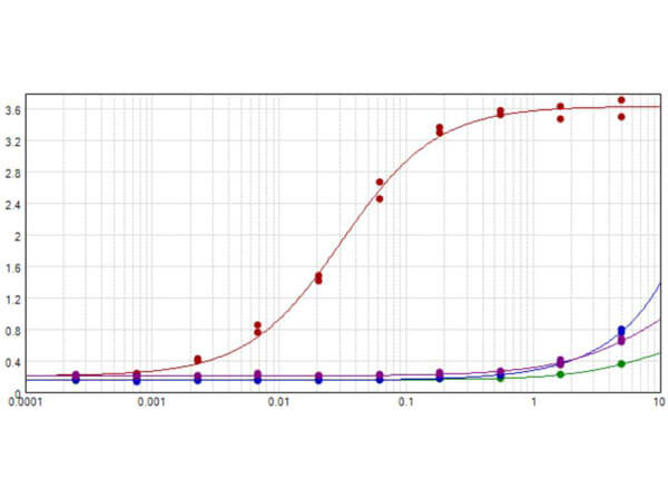 ELISA of Ready-To-Use Rabbit Anti-RFP Antibody Min X Hu Ms and Rt Serum Proteins