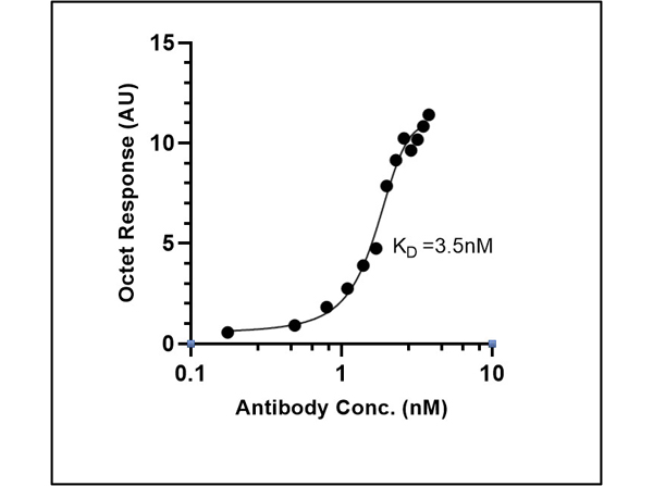 Fitting of Kinetic Data of Anti-SARS CoV Nucleocapsid