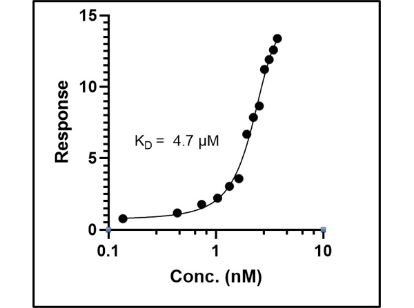 Fitting of Kinetic Data of Anti-SARS CoV-2 Nucleocapsid