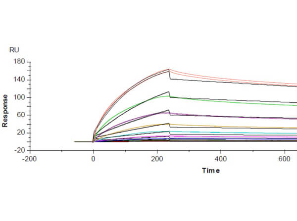 Surface Plasmon Resonance (SPR) Data of Rabbit Anti-SARS-CoV-2 Nucleocapsid (N) Antibody