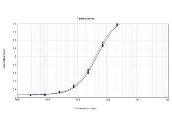 ELISA results of Rabbit Anti-SARS CoV-2 Nucleocapsid (N) Protein Variants.