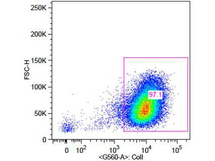 Flow Cytometry - Anti-Collagen 1 Biotin