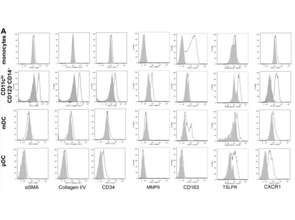 Flow cytometry of Anti-Collagen Type I Antibody Biotin Conjugate