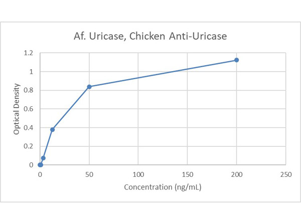 Aspergillus flavus uricase activity