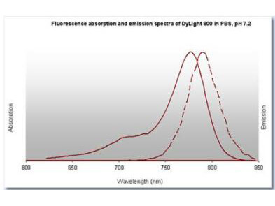 DyLight™ 800 Fluorescence Spectra.