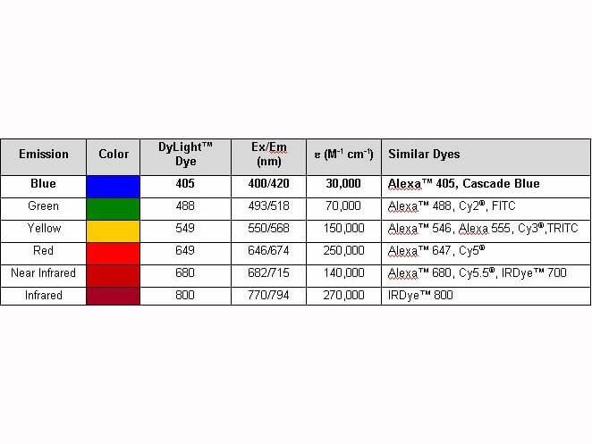 Properties of DyLight™ Conjugates.