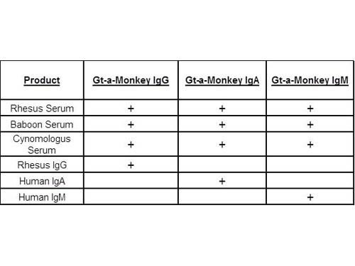 CT - Table of Goat Anti-Monkey Primary Antibodies.