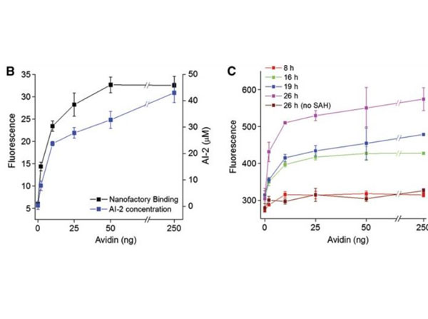 Results using Avidin