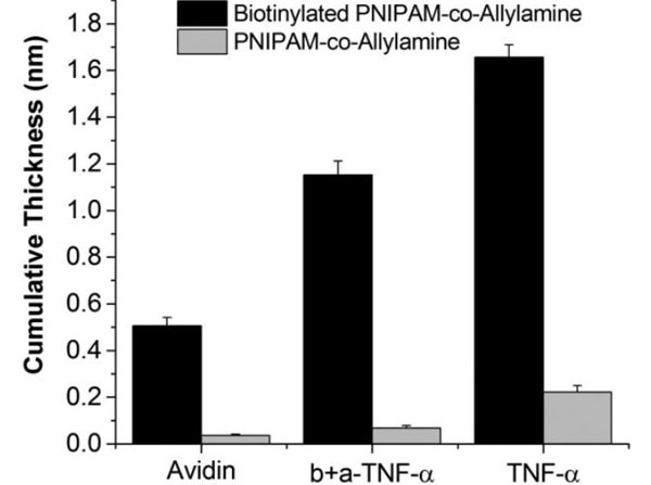 Results using Avidin
