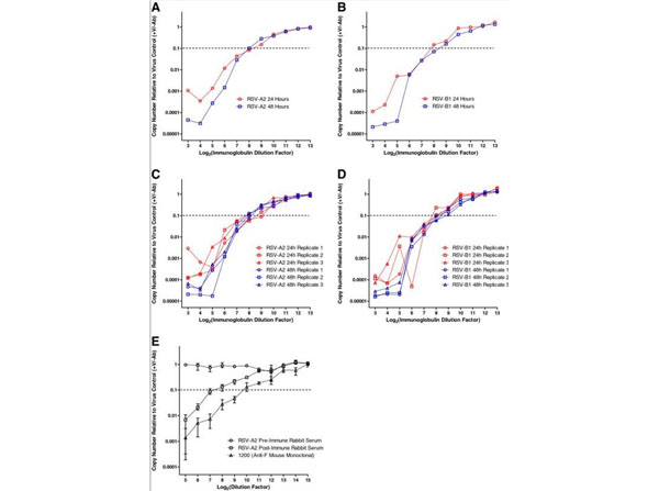 Neutralization using Guinea Pig Complement