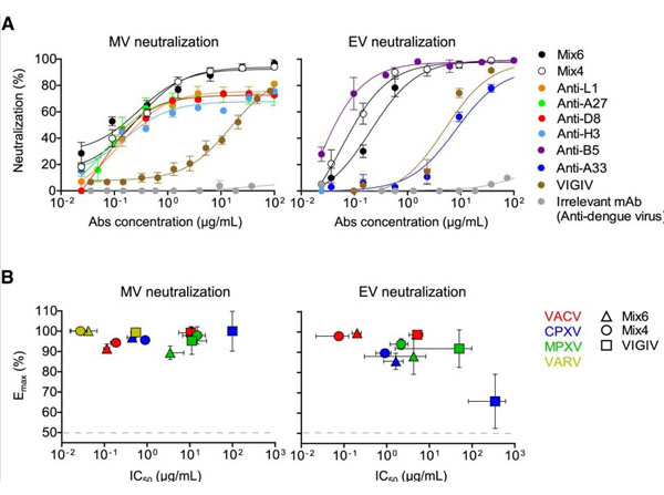 Neutralization using Guinea Pig Complement
