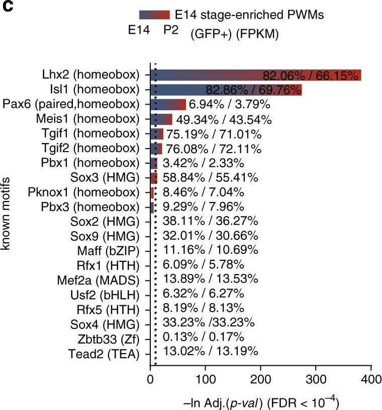 Flow Cytometry of Anti-GFP Antibody