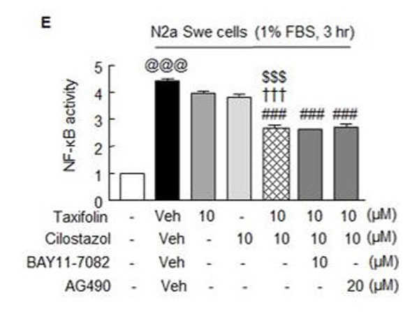 Binding Activity using NF-kB kit