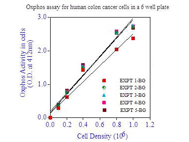 Oxphos Cell Survival Assay - background