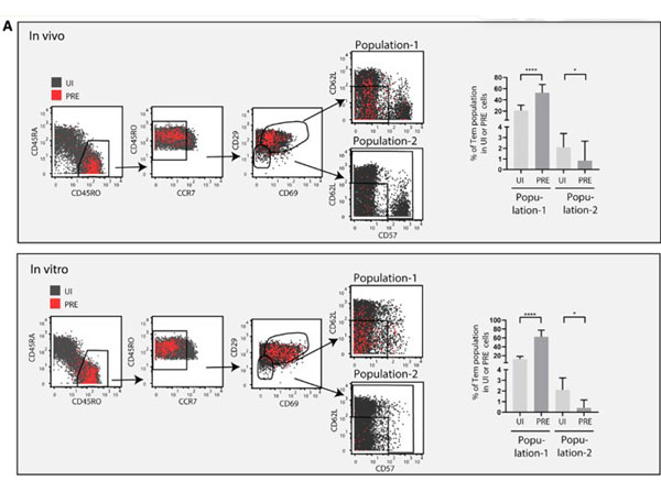 PBS buffer used for Flow