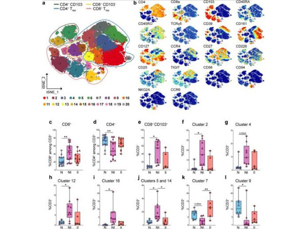 PBS buffer used for Flow
