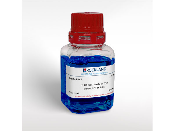 2X SDS-PAGE Sample Buffer without DTT or b-ME