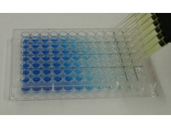 HRP Conjugate Stabilizer - ELISA