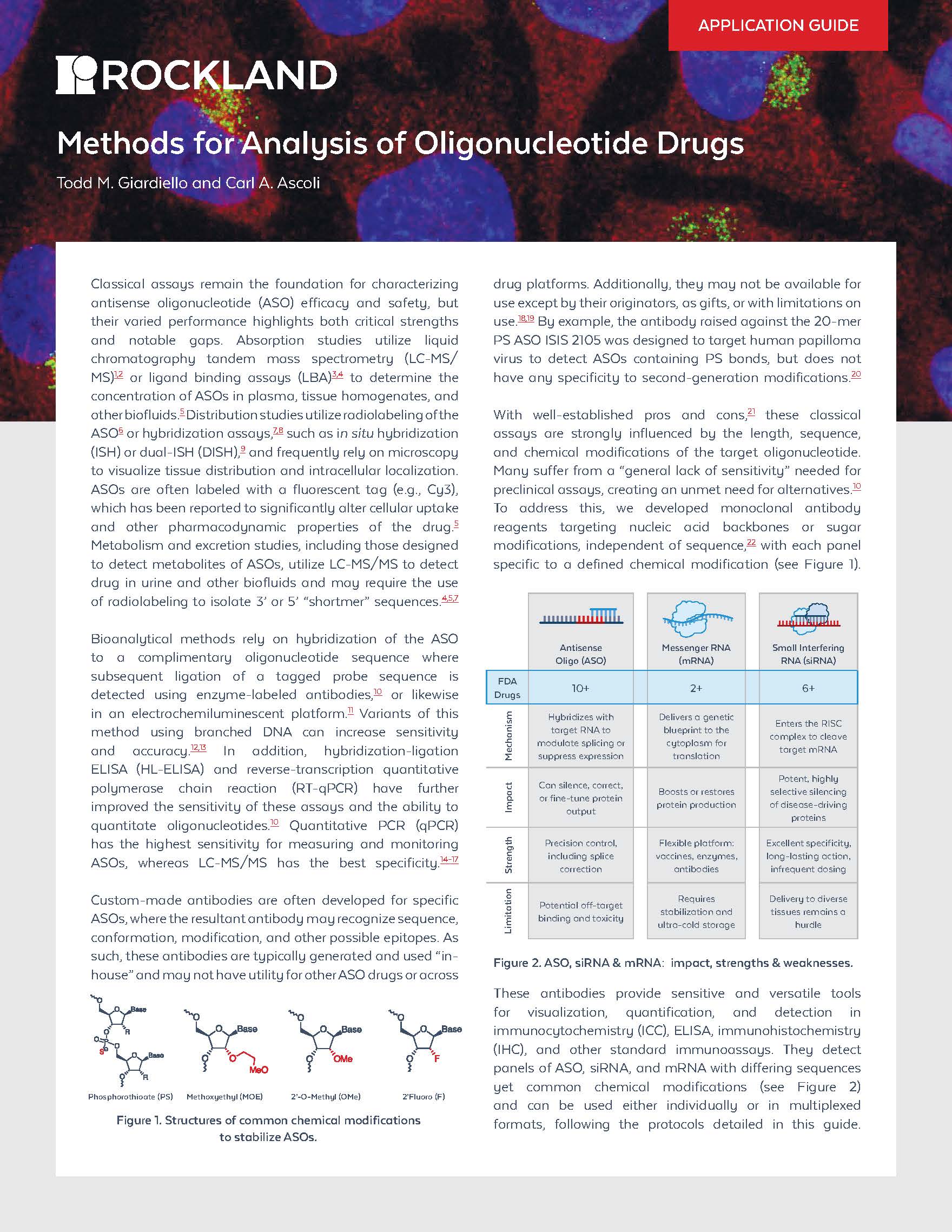 Methods for Analysis of Oligonucleotide Drugs