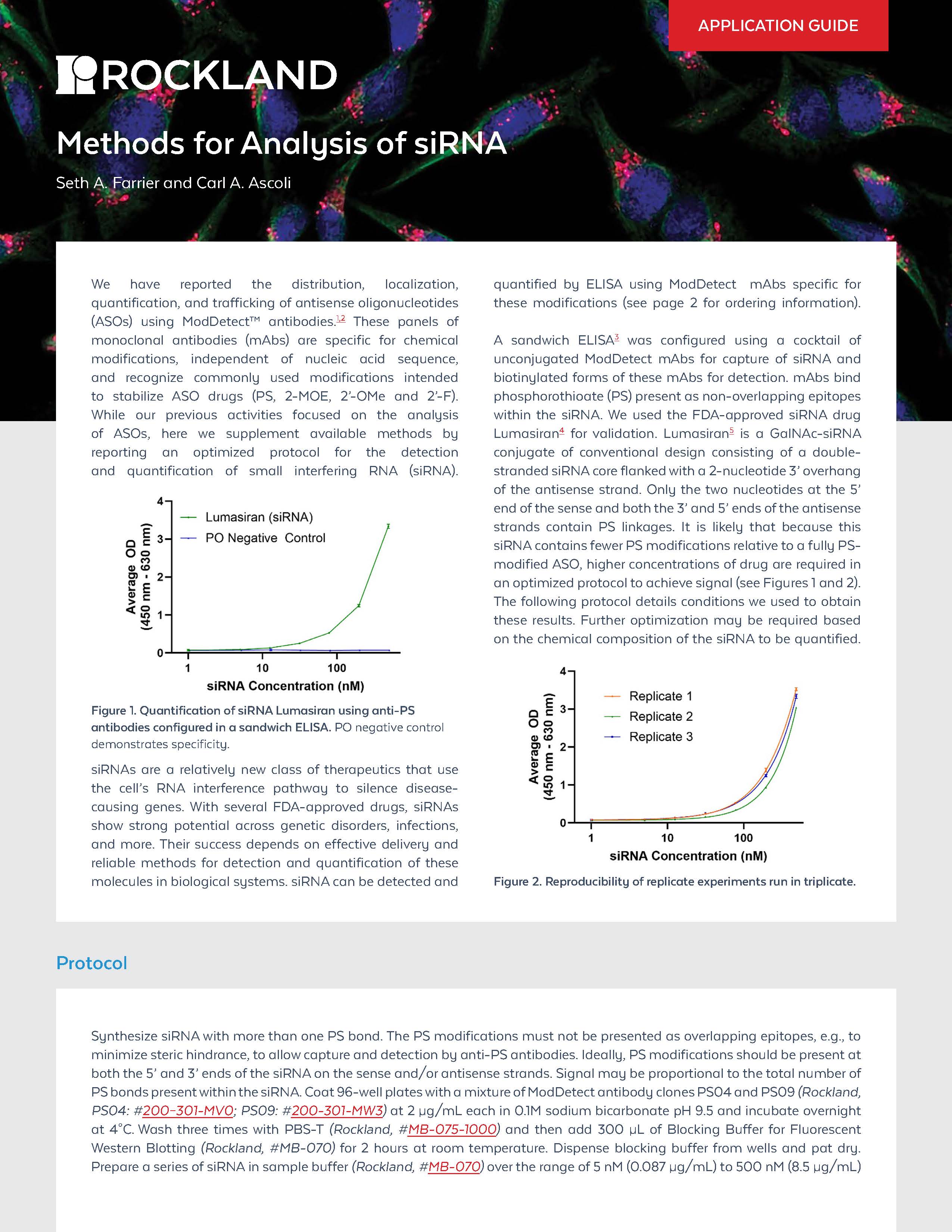 Methods for Analysis of siRNA