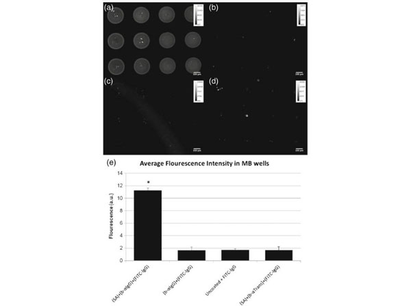 Assay using Streptavidin