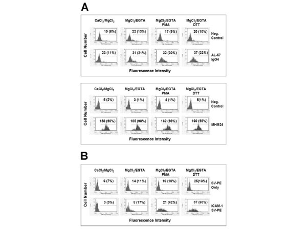 Flow Cytometry using Streptavidin Phycoerythrin