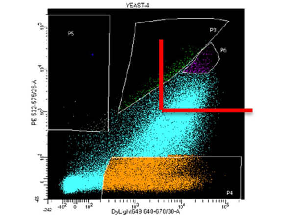 S000-08 used in FACS sorting