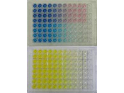 TMB Prestained Red ELISA Peroxidase Substrate - ELISA