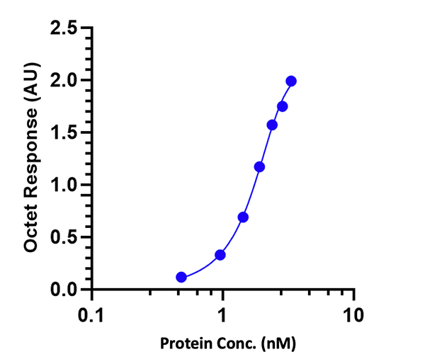 Protein Quantification using BLI